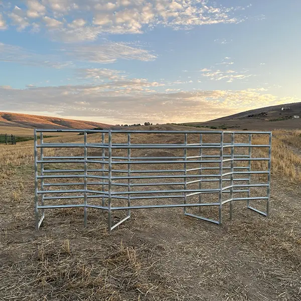 SCORINGALLEY_PHOTO_2